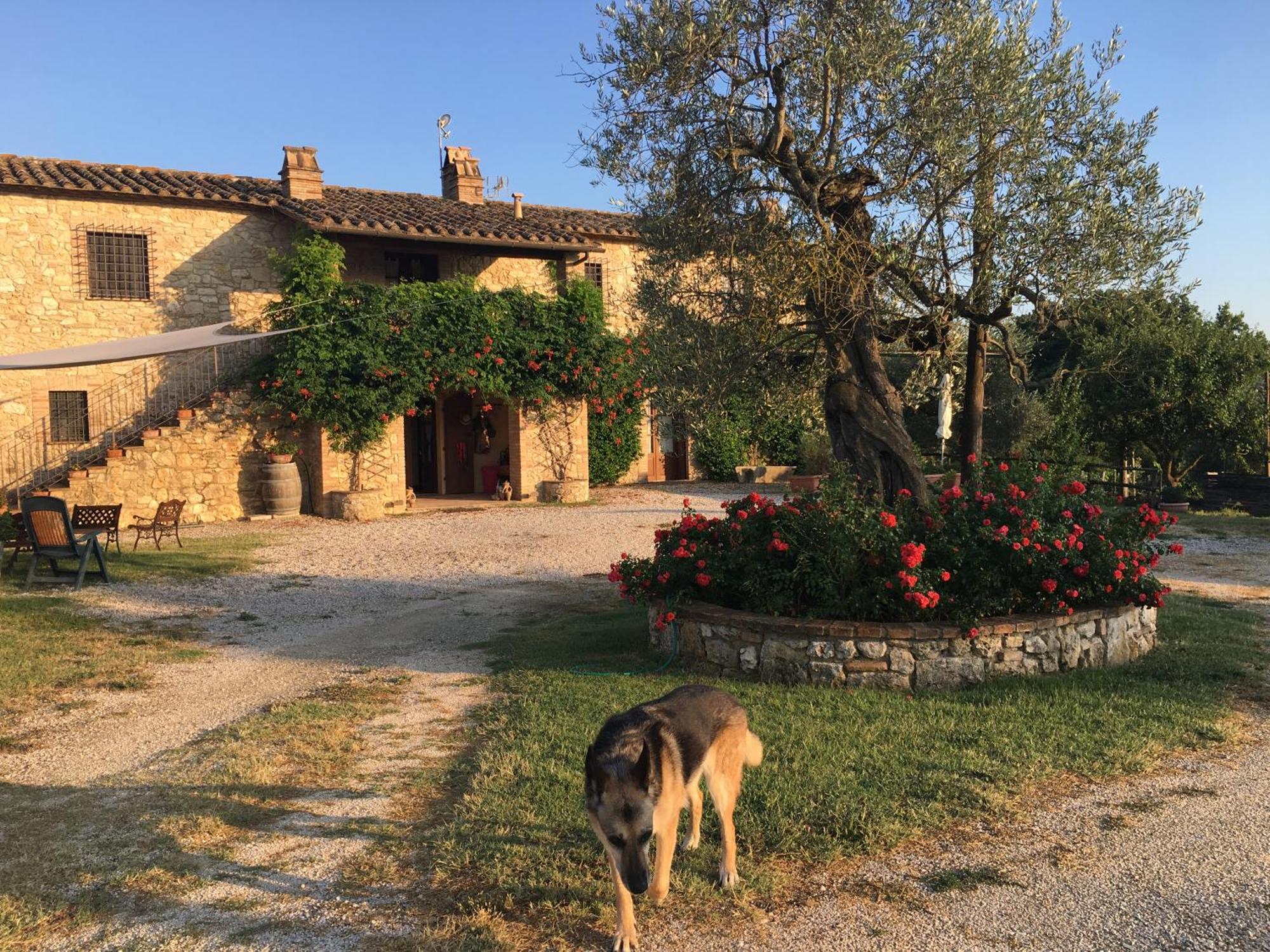 Agriturismo Podere dell' Olmo Amelia Esterno foto