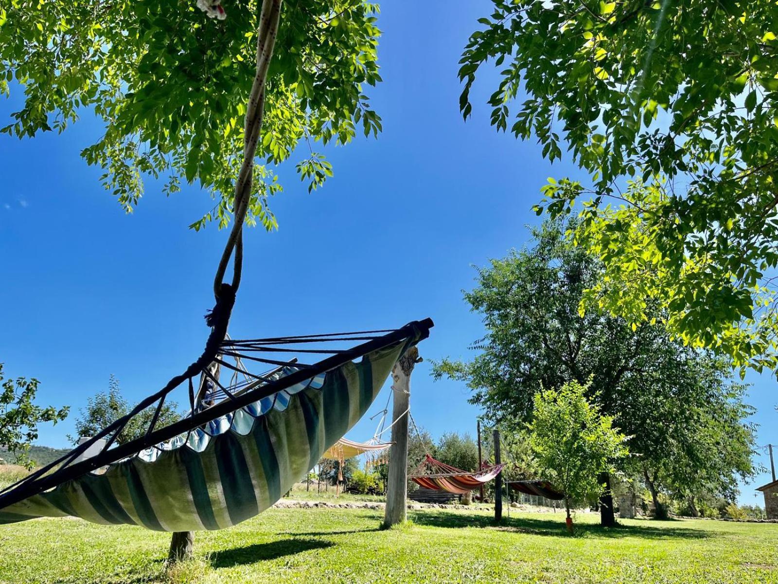 Agriturismo Podere dell' Olmo Amelia Esterno foto