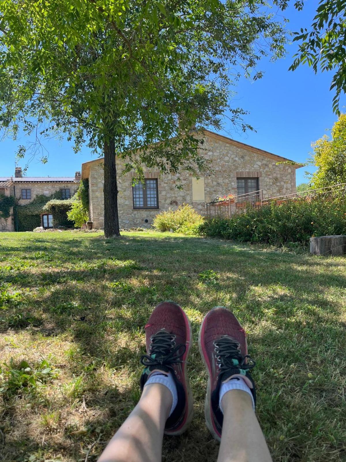 Agriturismo Podere dell' Olmo Amelia Esterno foto