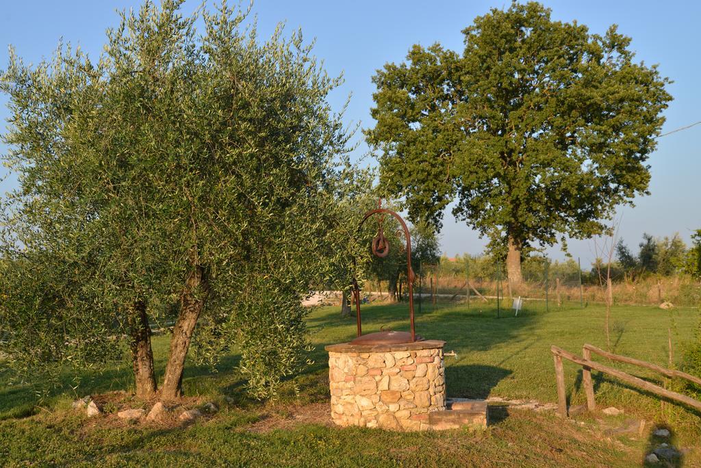 Agriturismo Podere dell' Olmo Amelia Esterno foto