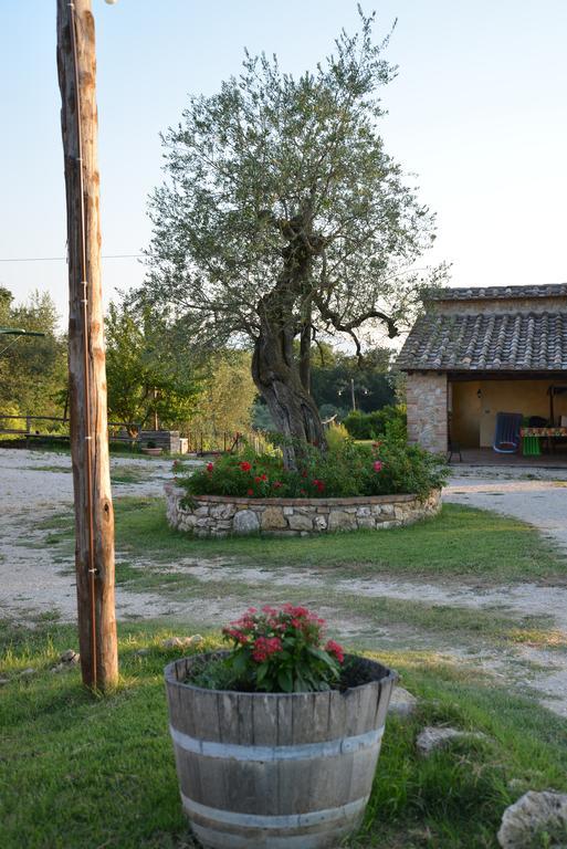 Agriturismo Podere dell' Olmo Amelia Esterno foto
