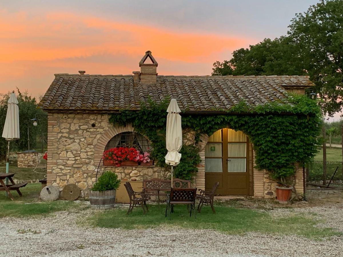 Agriturismo Podere dell' Olmo Amelia Esterno foto