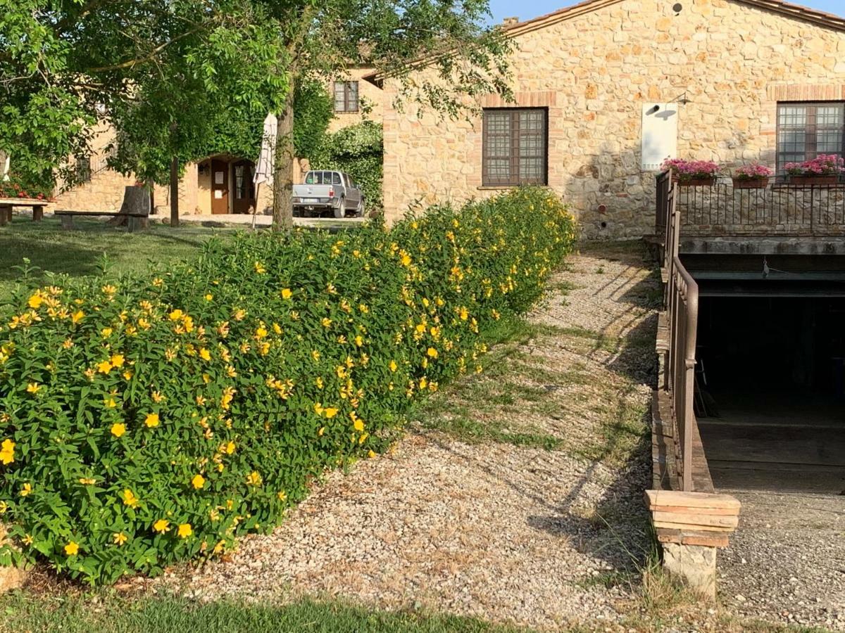 Agriturismo Podere dell' Olmo Amelia Esterno foto