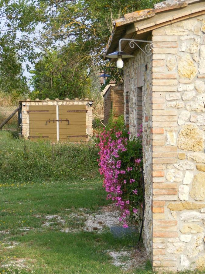 Agriturismo Podere dell' Olmo Amelia Esterno foto