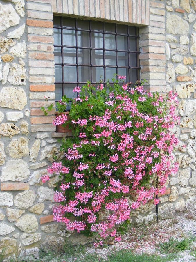 Agriturismo Podere dell' Olmo Amelia Esterno foto