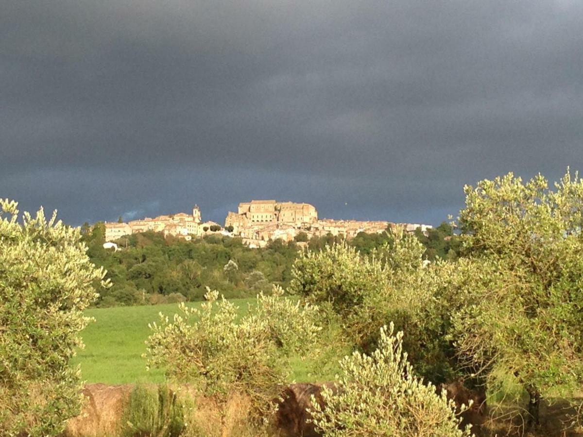 Agriturismo Podere dell' Olmo Amelia Esterno foto
